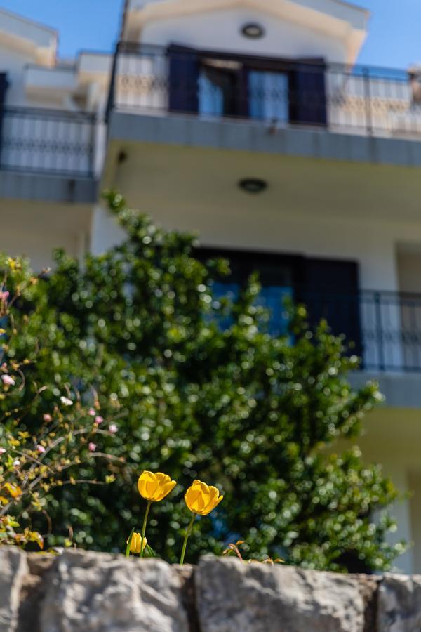 Apartments Miramar Котор Экстерьер фото